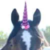 Unicorn Horn for Horse