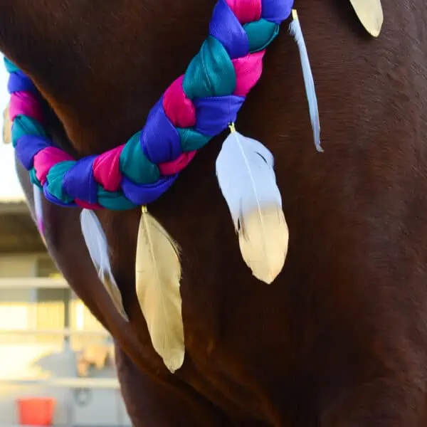 Feather Neck Wreath