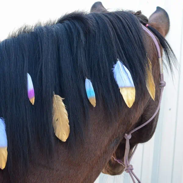 How to tie hair tinsel on a horse 