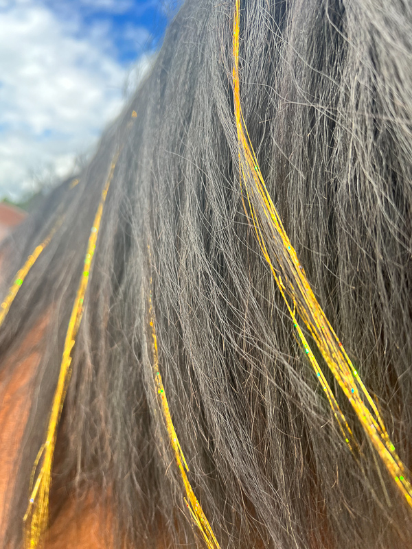 Mane Hair Extensions for Horses perfect for Parties, Parades & Shows 