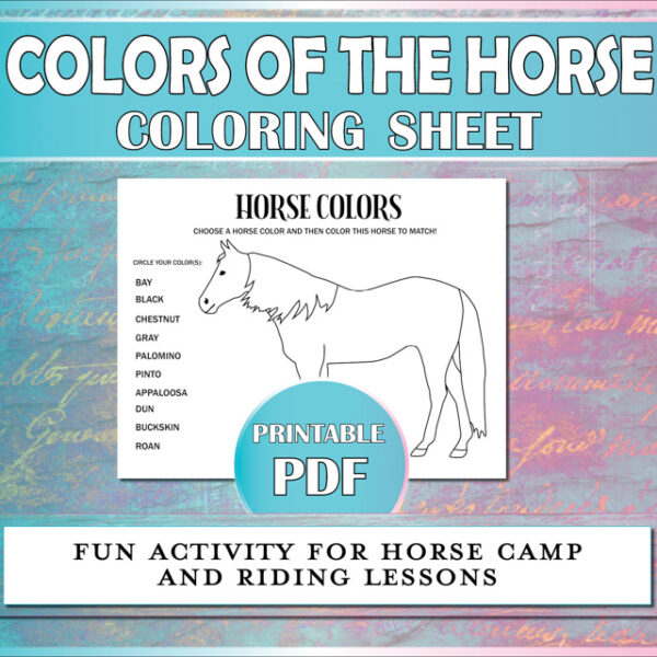 Horse coloring sheet for horseback riding students to learn the coat colors of the horse.