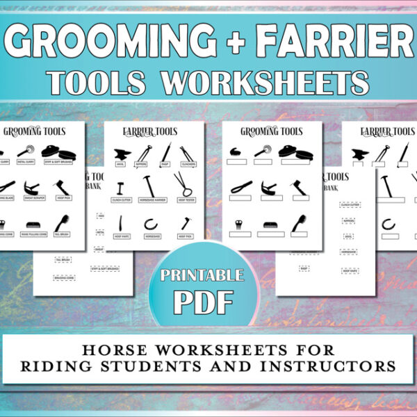 Horse worksheets to teach equestrian students to identify horse brushes, grooming tools, and farrier tools.