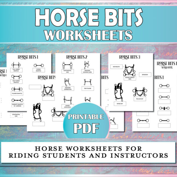 Horse worksheets to teach equestrian students about English and western horse bits and their variations.