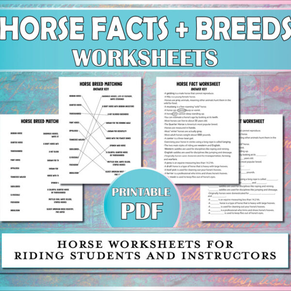 Horse worksheets for equestrian students to learn about horse facts and horse breeds.