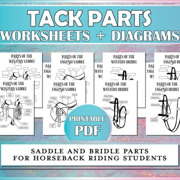 These tack parts worksheets and diagrams describe the parts of the bridle and parts of the saddle for English and western horseback riding students.