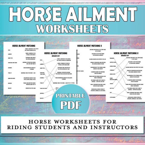 Horse worksheets to help equestrian students learn the basics of common horse ailments.