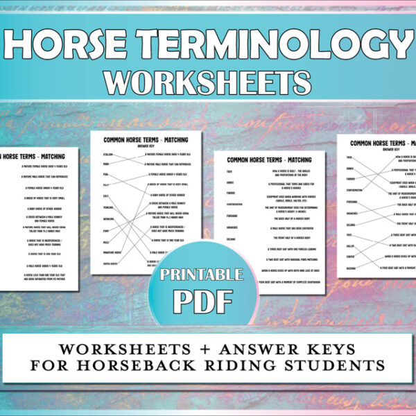 Horse worksheets for matching common horse terms with descriptions.