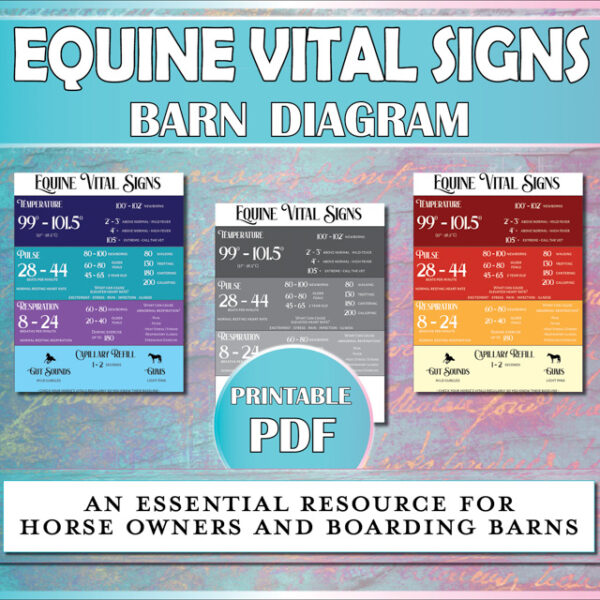 Equine vital signs diagram is essential for horse owners and boarding barns.