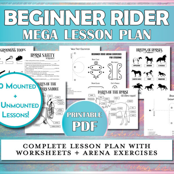 The Beginner Rider Lesson Plan includes arena exercises and horse worksheets for beginning horseback riding students.