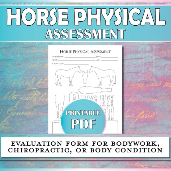 Horse physical assessment form for equine bodywork, chiropractic, veterinary, or body condition score.