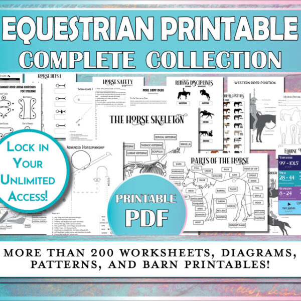 Get complete access to more than 200 horse worksheets, diagrams, arena patterns, exercises, and barn record organization documents!