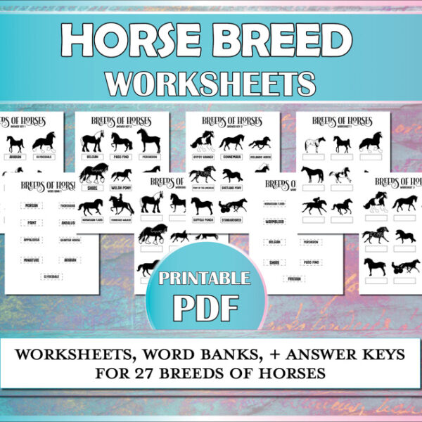 Horse worksheets to teach riding students to identify 27 horse breeds.