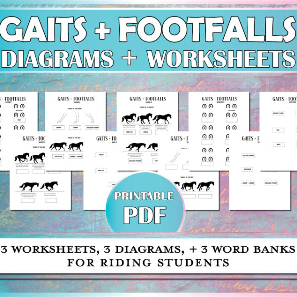 Horse worksheets to help horse owners and riding students understand the horse's gaits and the footfalls of the walk, trot, and canter.