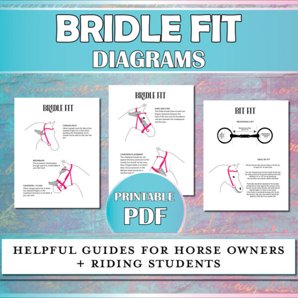 Bridle fitting diagrams for horse owners and riding students showing bridle placement and bit measuring.